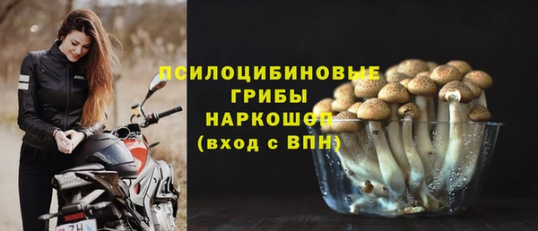 ALPHA PVP Белокуриха