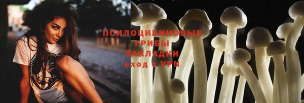 ALPHA PVP Белокуриха